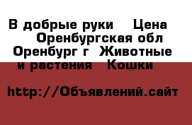 В добрые руки  › Цена ­ 10 - Оренбургская обл., Оренбург г. Животные и растения » Кошки   